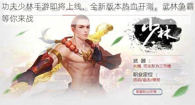 功夫少林手游即将上线，全新版本热血开测，武林争霸等你来战