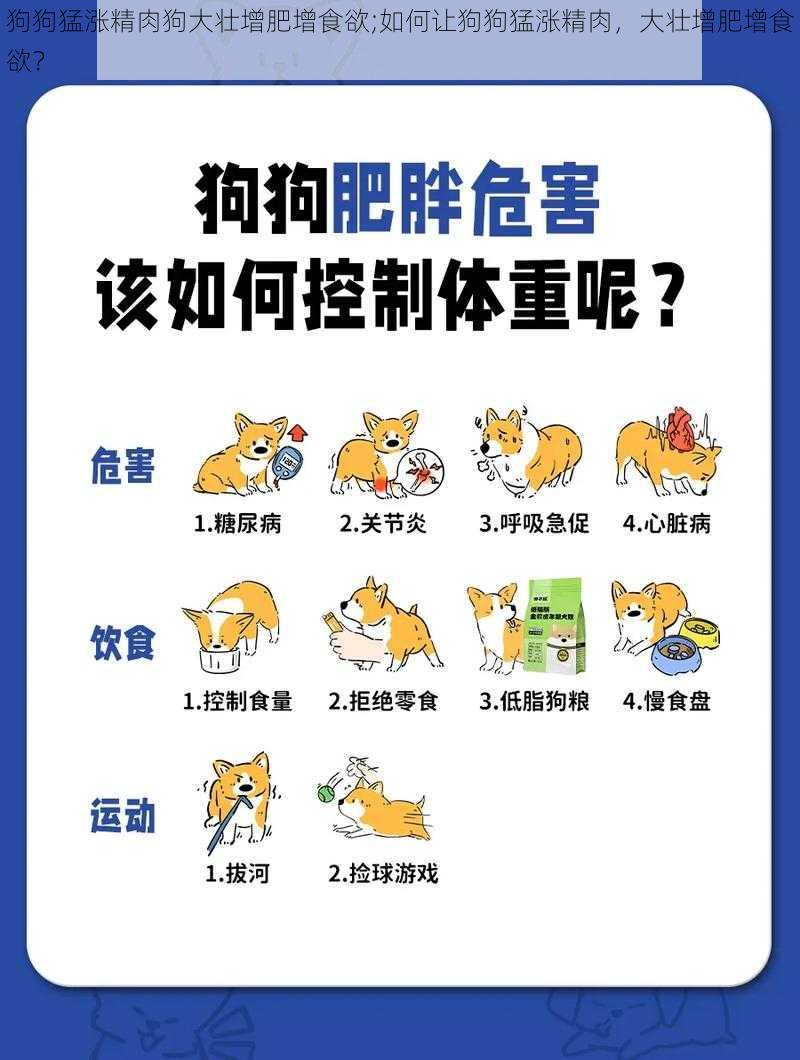 狗狗猛涨精肉狗大壮增肥增食欲;如何让狗狗猛涨精肉，大壮增肥增食欲？