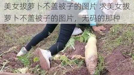 美女拔萝卜不盖被子的图片 求美女拔萝卜不盖被子的图片，无码的那种