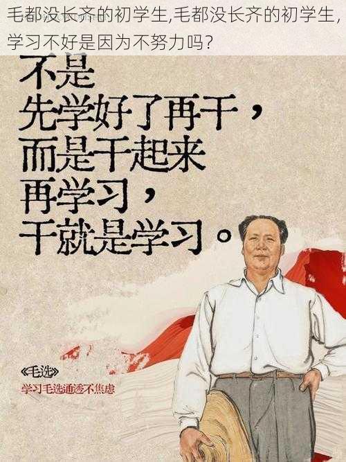 毛都没长齐的初学生,毛都没长齐的初学生，学习不好是因为不努力吗？