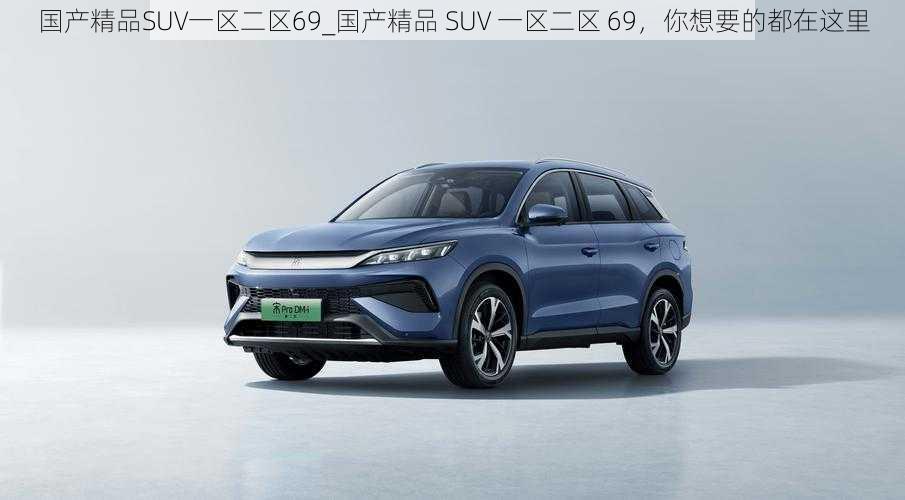 国产精品SUV一区二区69_国产精品 SUV 一区二区 69，你想要的都在这里