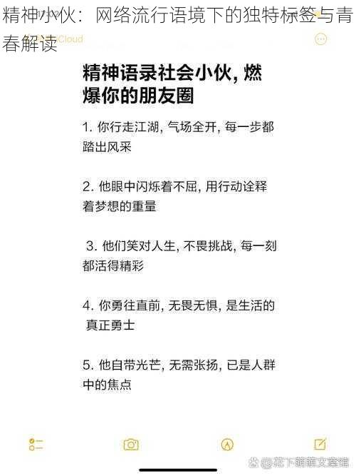 精神小伙：网络流行语境下的独特标签与青春解读