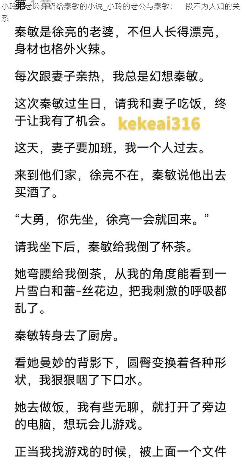 小玲把老公介绍给秦敏的小说_小玲的老公与秦敏：一段不为人知的关系