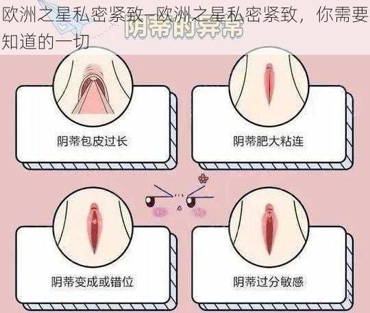 欧洲之星私密紧致—欧洲之星私密紧致，你需要知道的一切