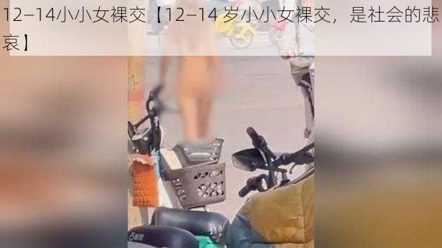 12—14小小女裸交【12—14 岁小小女裸交，是社会的悲哀】