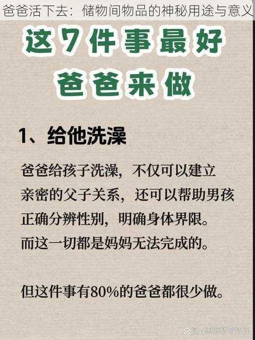 爸爸活下去：储物间物品的神秘用途与意义