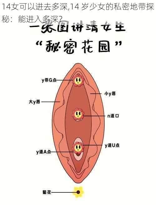 14女可以进去多深,14 岁少女的私密地带探秘：能进入多深？