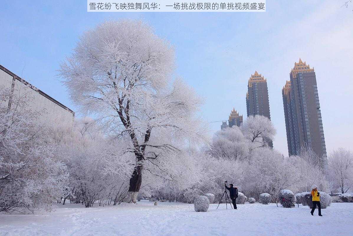 雪花纷飞映独舞风华：一场挑战极限的单挑视频盛宴