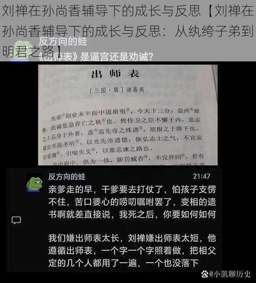 刘禅在孙尚香辅导下的成长与反思【刘禅在孙尚香辅导下的成长与反思：从纨绔子弟到明君之路】