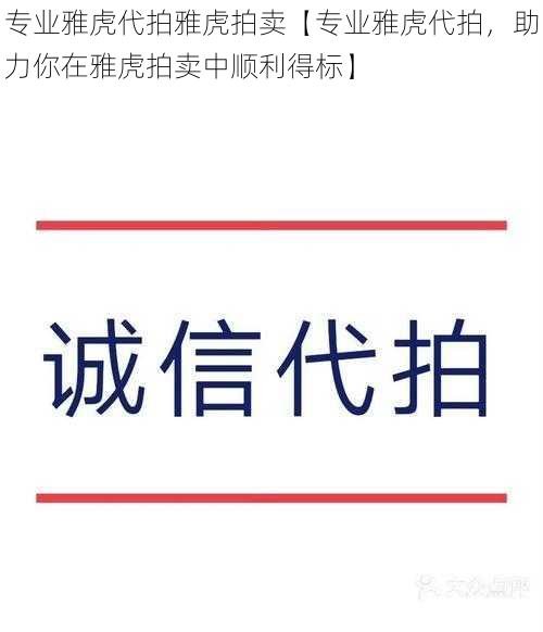 专业雅虎代拍雅虎拍卖【专业雅虎代拍，助力你在雅虎拍卖中顺利得标】