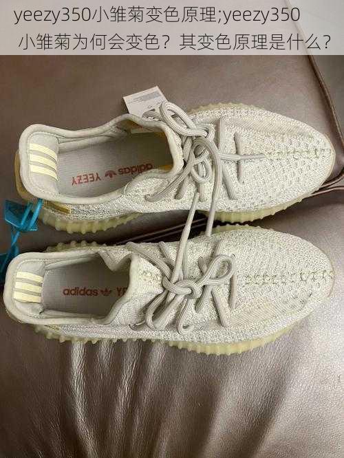 yeezy350小雏菊变色原理;yeezy350 小雏菊为何会变色？其变色原理是什么？