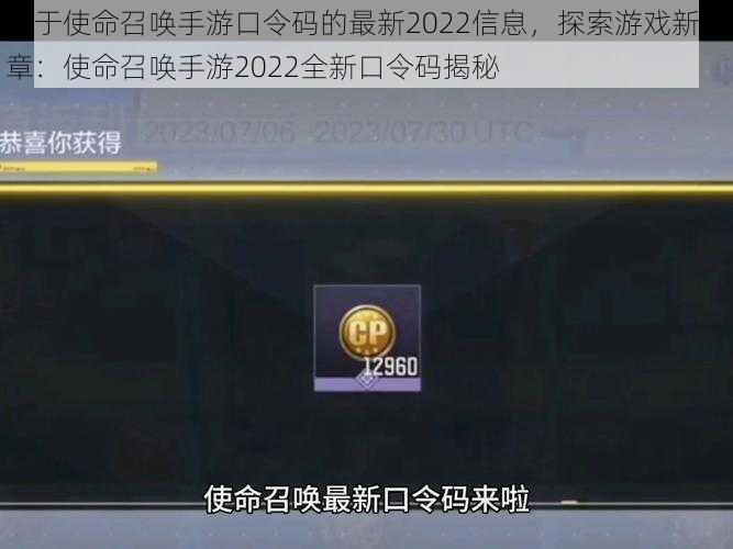 关于使命召唤手游口令码的最新2022信息，探索游戏新篇章：使命召唤手游2022全新口令码揭秘