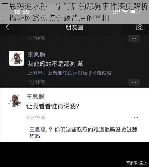 王思聪追求孙一宁背后的舔狗事件深度解析：揭秘网络热点话题背后的真相