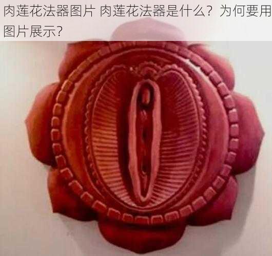 肉莲花法器图片 肉莲花法器是什么？为何要用图片展示？