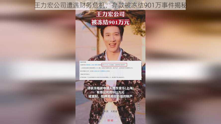 王力宏公司遭遇财务危机，存款被冻结901万事件揭秘