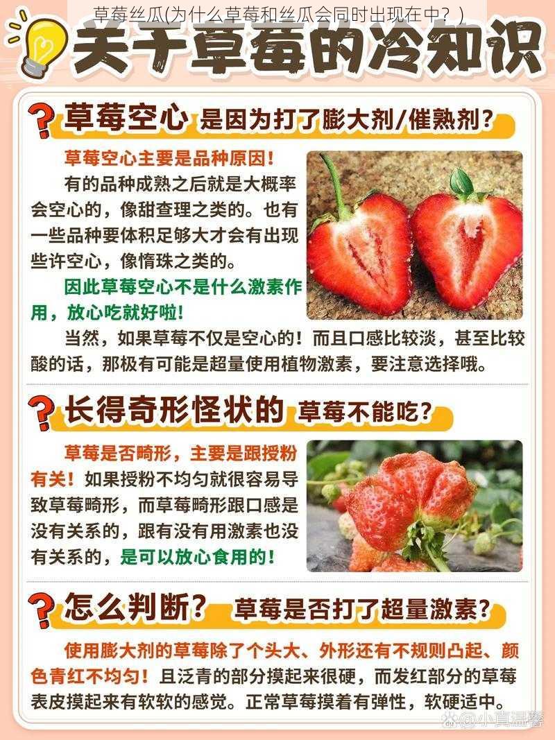 草莓丝瓜(为什么草莓和丝瓜会同时出现在中？)