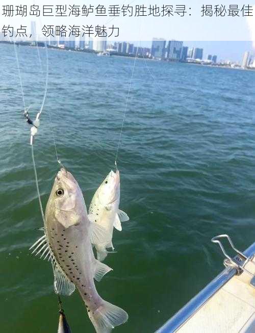 珊瑚岛巨型海鲈鱼垂钓胜地探寻：揭秘最佳钓点，领略海洋魅力