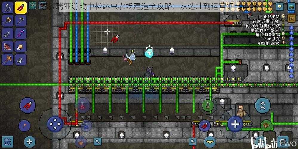 泰拉瑞亚游戏中松露虫农场建造全攻略：从选址到运营细节详解