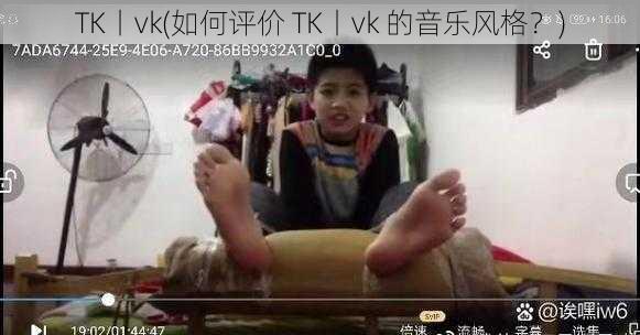 TK丨vk(如何评价 TK丨vk 的音乐风格？)