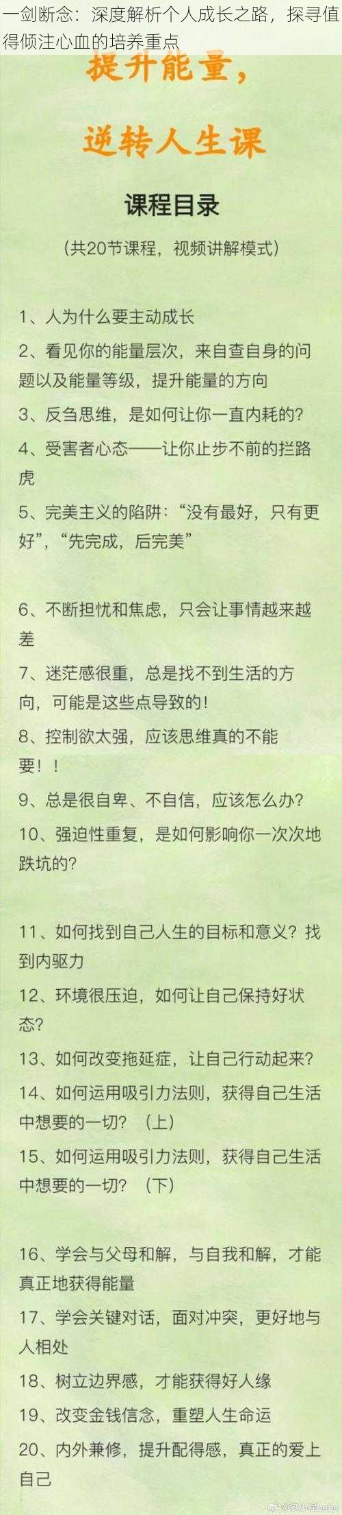 一剑断念：深度解析个人成长之路，探寻值得倾注心血的培养重点