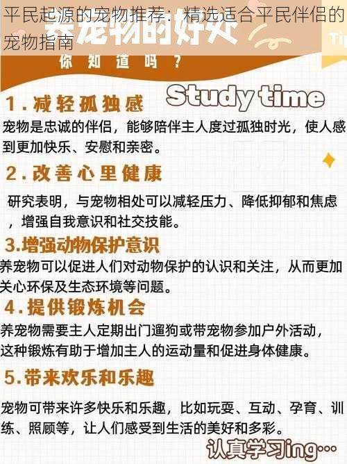 平民起源的宠物推荐：精选适合平民伴侣的宠物指南