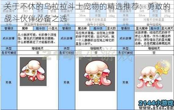 关于不休的乌拉拉斗士宠物的精选推荐：勇敢的战斗伙伴必备之选