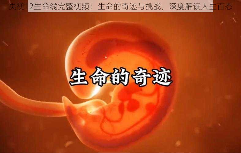 央视12生命线完整视频：生命的奇迹与挑战，深度解读人生百态