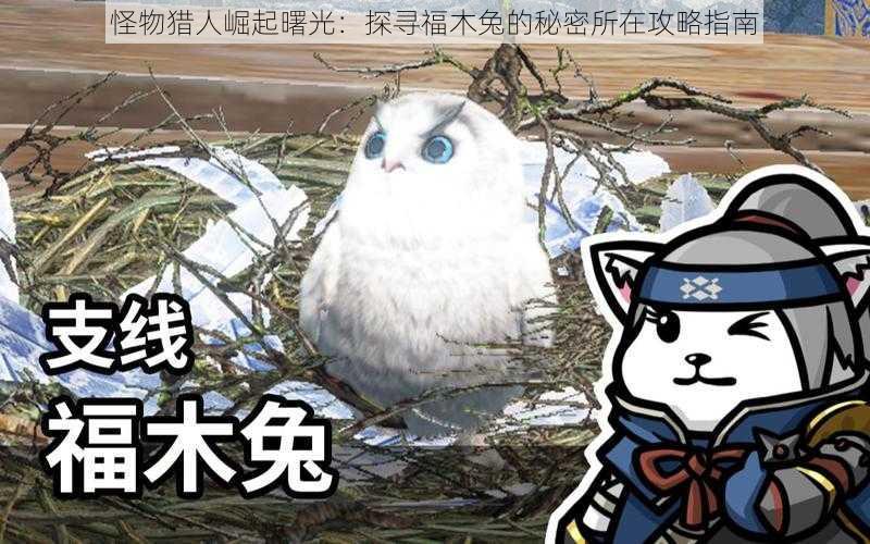 怪物猎人崛起曙光：探寻福木兔的秘密所在攻略指南