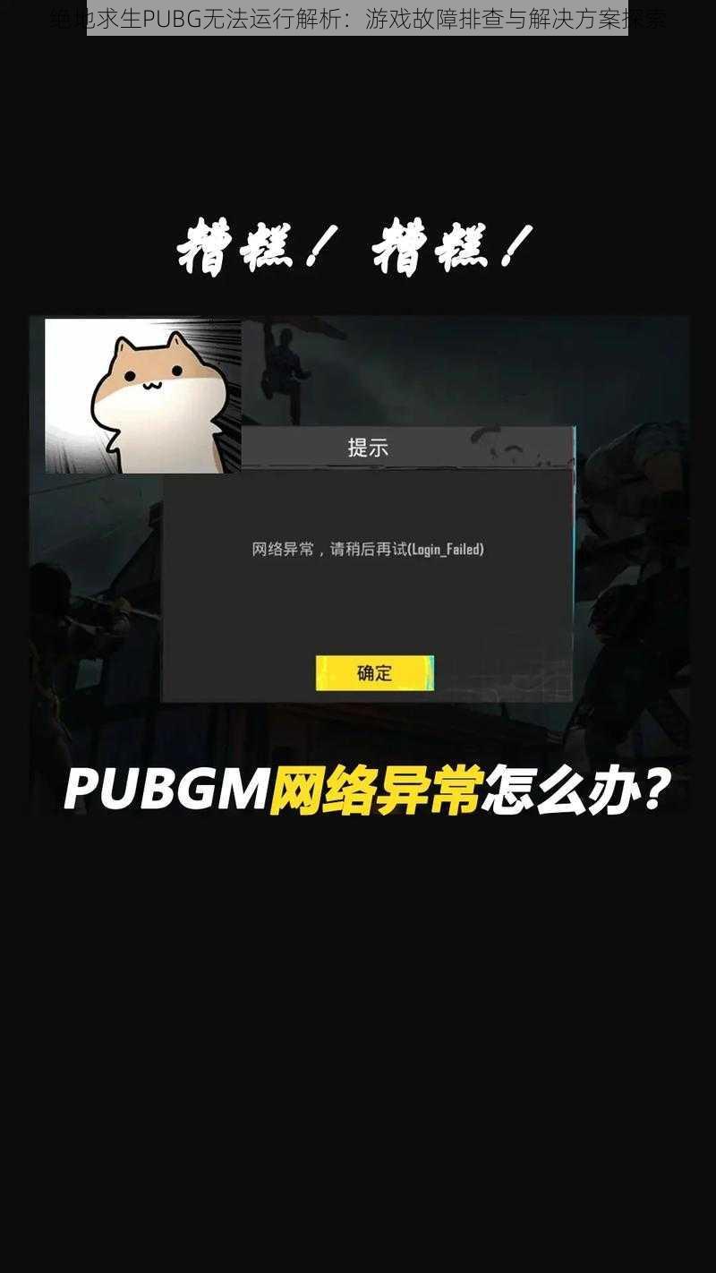 绝地求生PUBG无法运行解析：游戏故障排查与解决方案探索