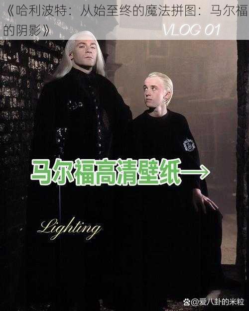 《哈利波特：从始至终的魔法拼图：马尔福的阴影》