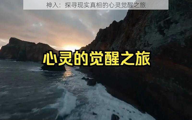 神入：探寻现实真相的心灵觉醒之旅