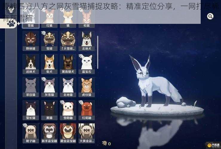 原神四方八方之网灰雪猫捕捉攻略：精准定位分享，一网打尽稀有灰雪猫